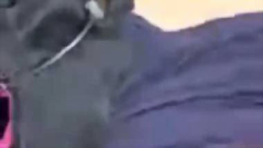 Cat eyes girls boobs show to lover on video call